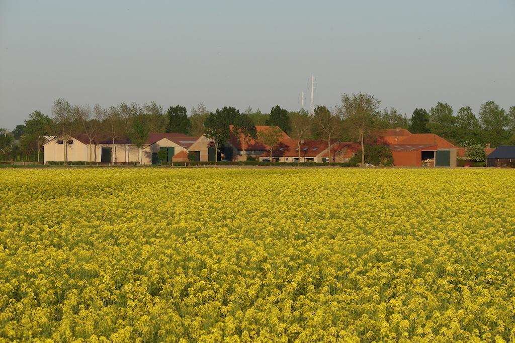 Holiday Home De Colve Brugge Dış mekan fotoğraf