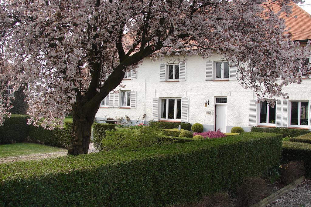 Holiday Home De Colve Brugge Dış mekan fotoğraf